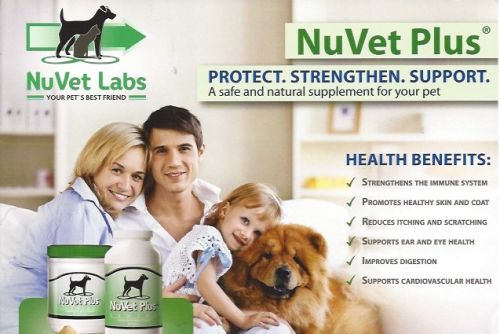 importance of supplements for dogs