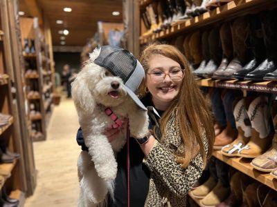 cavachon puppy photo