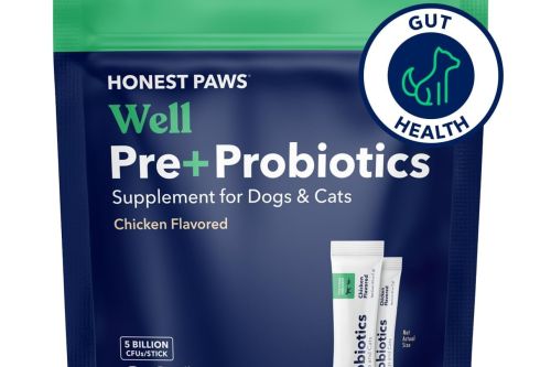 why dogs need high-quality probiotics