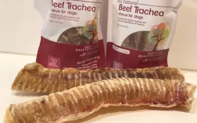 Beef Trachea