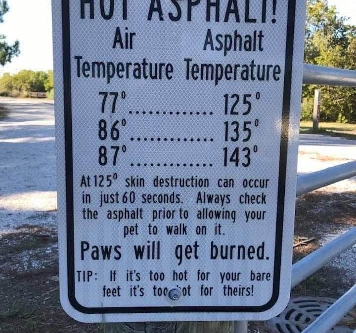 A Safety Tip for the “Dog Days” of Summer