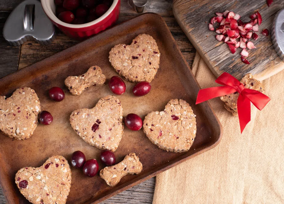 ❤ 🐶 February Recipe: Healthy Homemade Cavachon Dog Treats 🐶 ❤