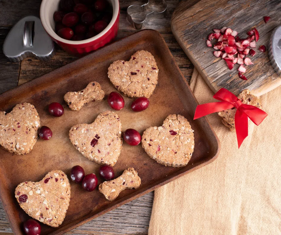 Heart-shaped homemade dog treats made with oat flour, pumpkin, banana, and cranberries, perfect for Cavachons and small breeds.